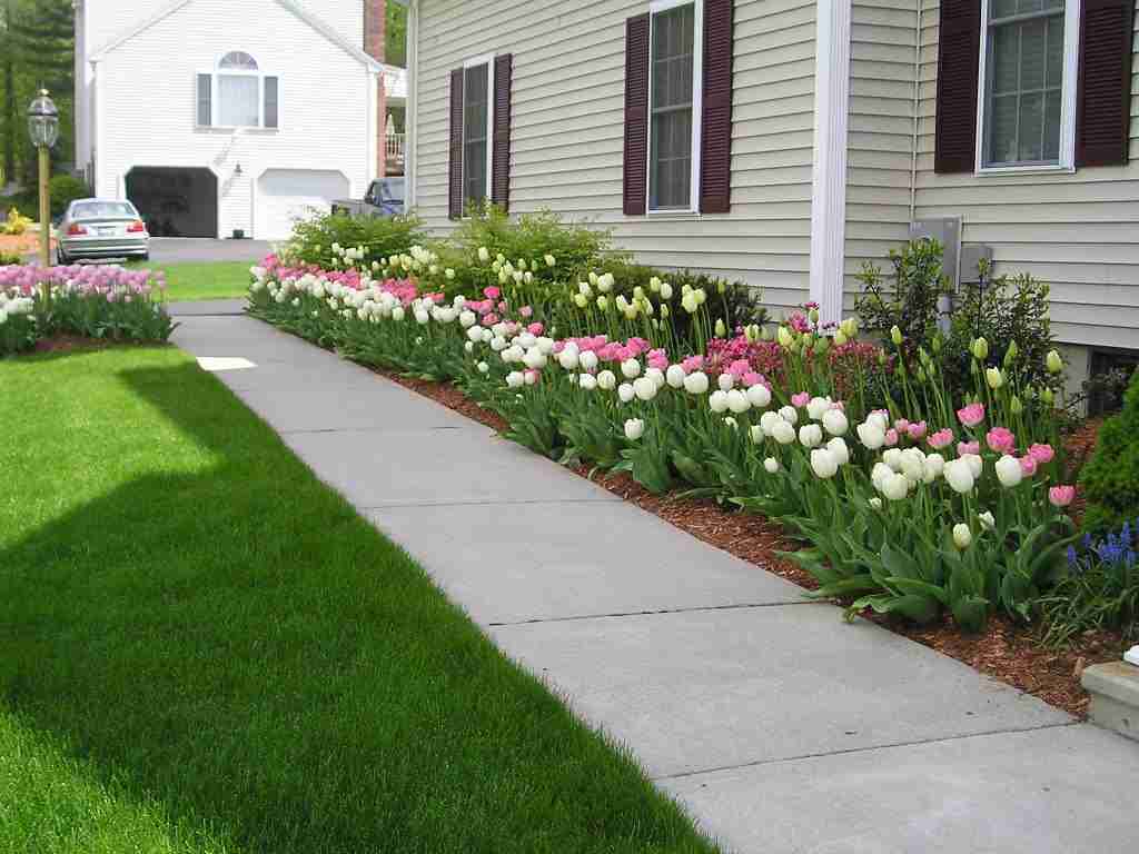 walkway and flowerbed