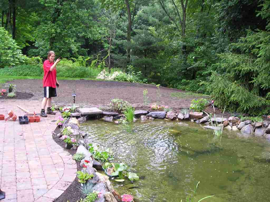 Landscape and walkway with a koi pond