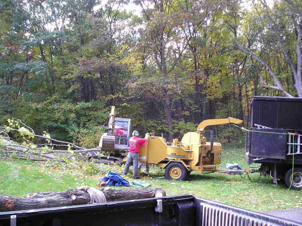 A landscaper putting a cut down tree through a woodchipper