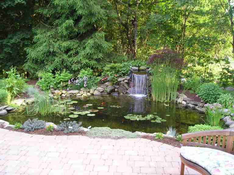 Koi Pond & Patio