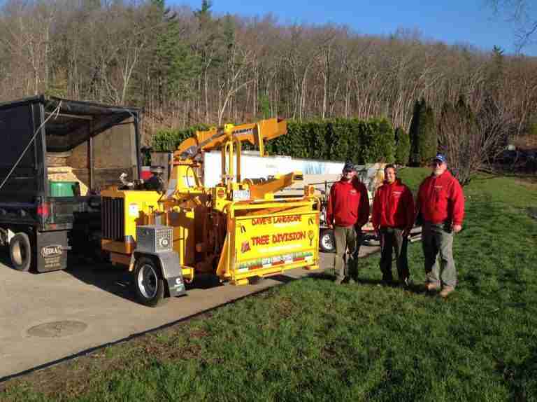 Daves Landscape team