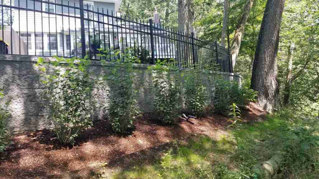 Wall, Fence & Planting