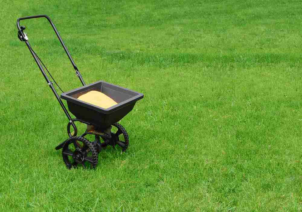 Fertilizer spreader on green lawn