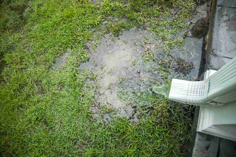 Gutters draining onto a lawn