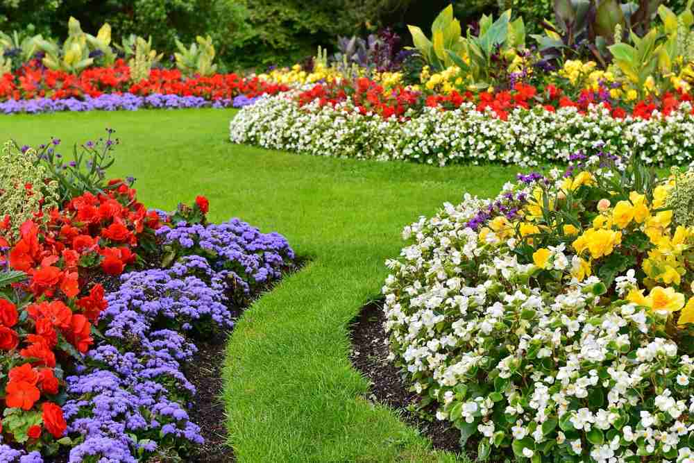 Fall landscape with a lawn and assorted flowers and mulch