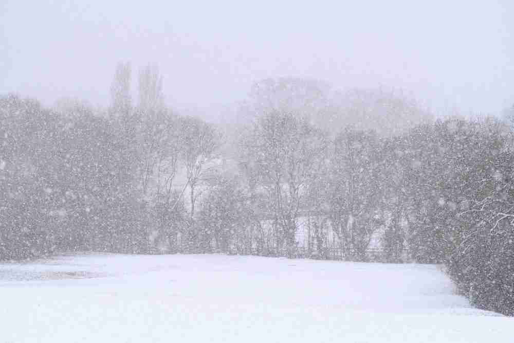 Countryside winter scene. Heavy snow, blizzard. Snow covered field.