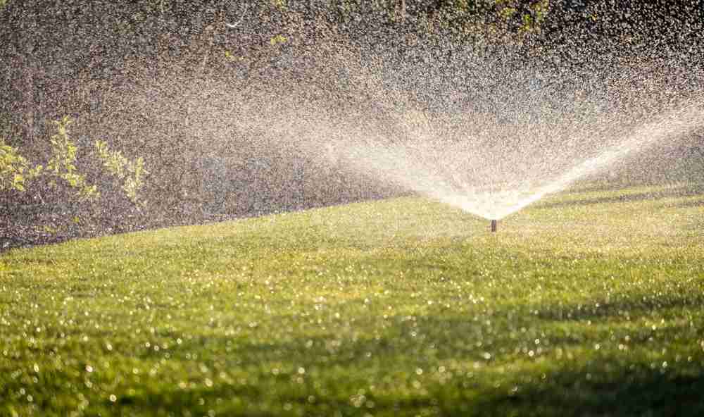 A lawn sprinkler spreading water throughout a lawn