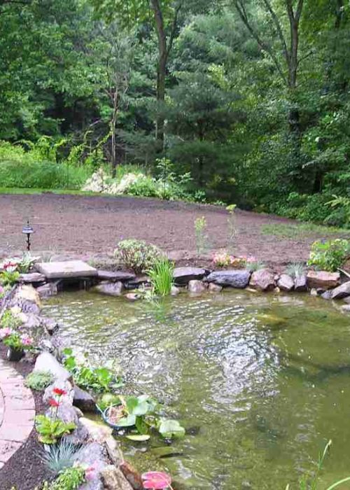 Landscape and walkway with a koi pond