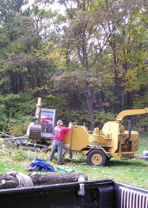 A landscaper putting a cut down tree through a woodchipper
