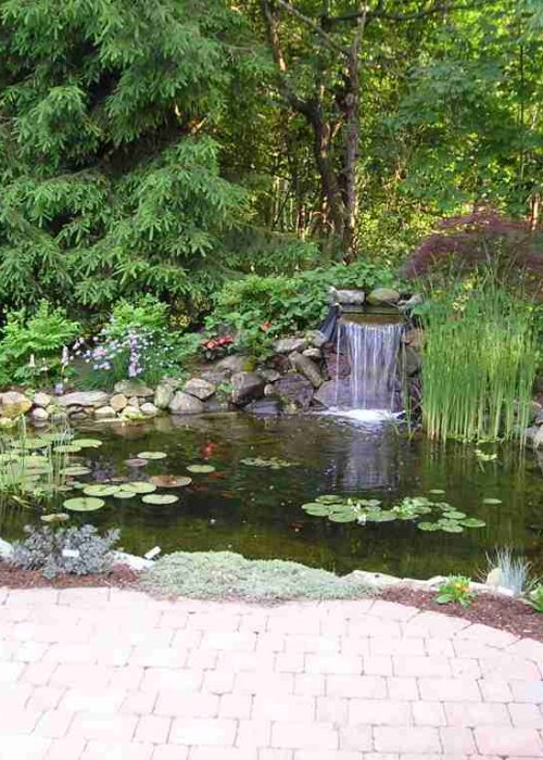 Koi Pond & Patio