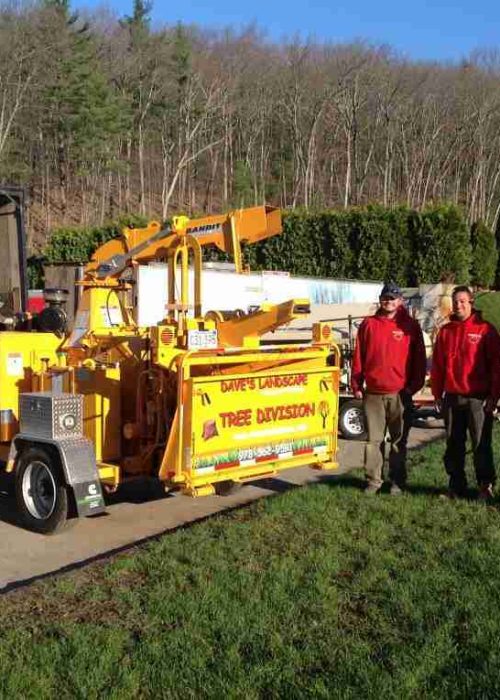 Daves Landscape team