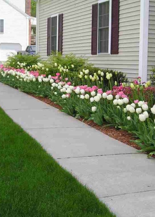 walkway and flowerbed