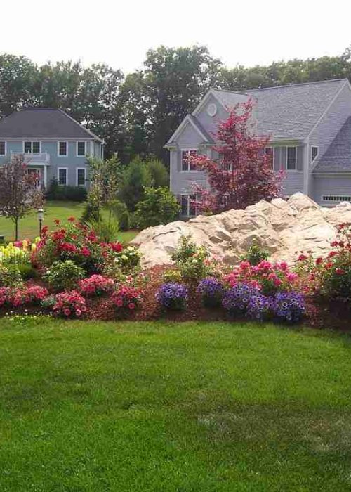 Landscape with flowers